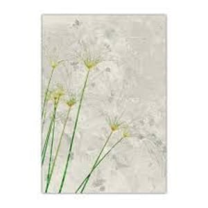 Blank Greeting Card Handwritten with Your Message